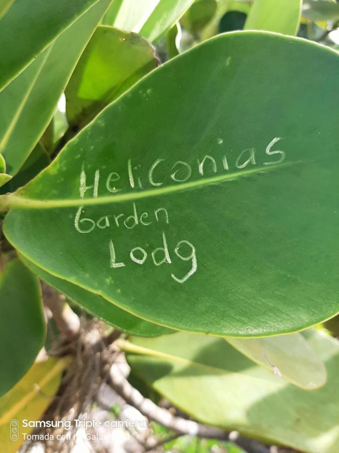 Garden Of Heliconias Lodge Драке Экстерьер фото